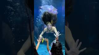 Mermaids make dreams come true! 🥹 #mermaid #mermaidtail #cute #aquarium #underwater #swimming #h2o