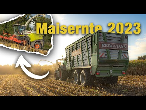 Maisernte 2023 🌽⚡️| Maishäckseln mit Claas Jaguar 980, Fendt 700/800/900 Vario und Bergmann HTW |