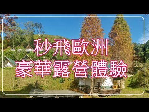 【露營推薦系列】斑比跳跳X愛露營野遊體驗