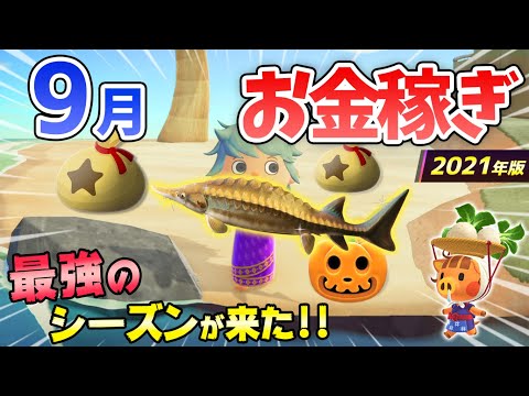 【あつ森】9月のお金の稼ぎ方！時間操作なしで30分60万ベルを安定して稼ぐ最強の方法を紹介！チョウザメ島やかぼちゃなど超オススメの金策法！【あつまれどうぶつの森　9月お金の稼ぎ方】