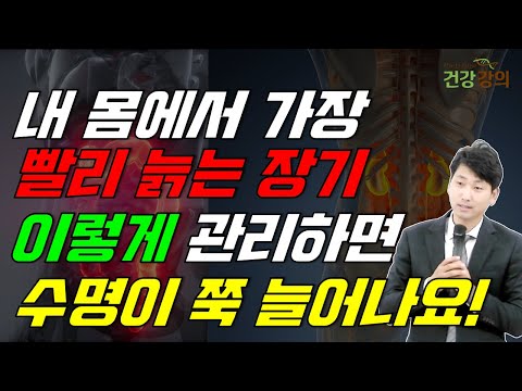 내 몸에서 가장 빨리 늙는 장기, 이렇게 관리하면 수명이 쭉 늘어나요!