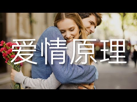 愛情的運作原理，原來是門科學｜uncle MaWho