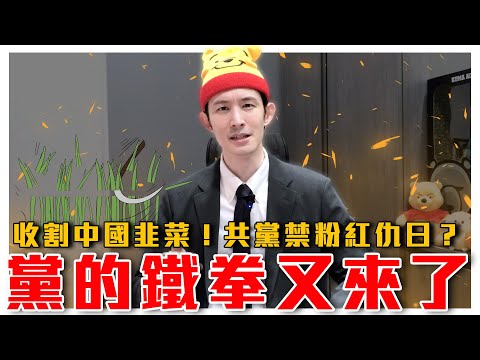 共黨派人教炒股！無情收割人礦｜風向變了？中共黨媒認核廢水監測無問題！點名仇日粉紅又蠢又壞！｜粉紅特報041期｜波特王好帥