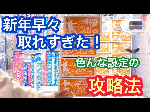 攻略法紹介します！2021年、クレーンゲーム初め！【クレーンゲーム】