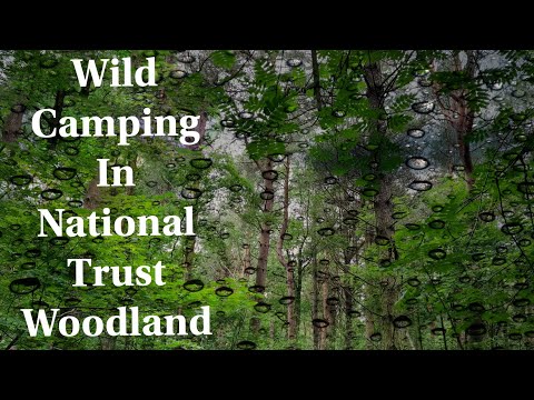 Wild Camping In National Trust Woodland | Hammock Camping | Shout outs