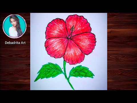 How to draw easy china rose🌺 || Hibiscus flower drawing step by step for beginners