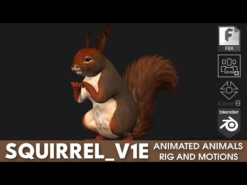 Squirrel V1E