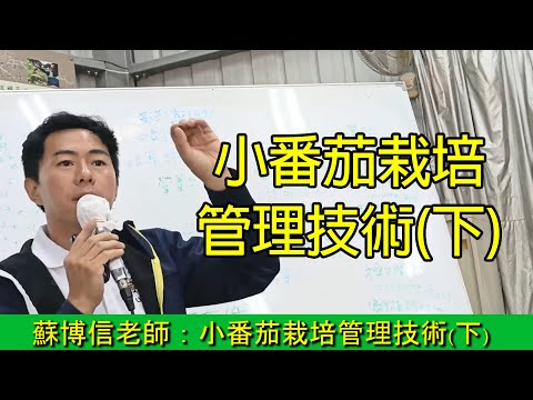 蘇博信老師：小番茄栽培管理技術下