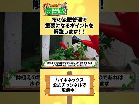 【園芸の基本】寒い冬に液肥は与えても大丈夫？⛄️〜オススメの肥料も合わせてご紹介します！🔥【ハイポネックス】