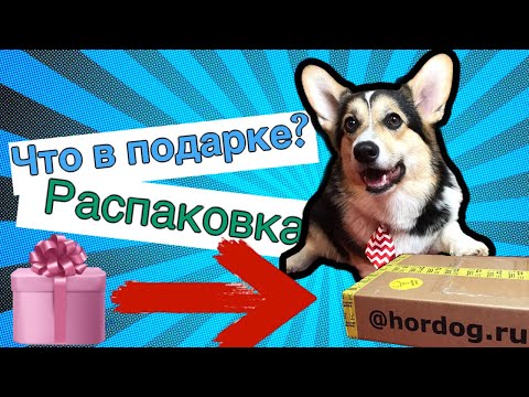 Распаковка посылки | Луночка булочка из Тик Ток | распаковка подарка #shorts