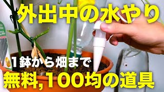 【自動潅水】出勤外出お出かけ中に自動で水やりをする方法5選【ペットボトル,タイマー】