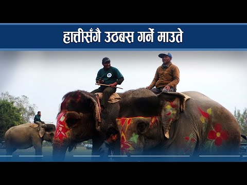 जोखिमयुक्त माउते पेशाः नयाँ पुस्ताको आकर्षण छैन - NEWS24 TV