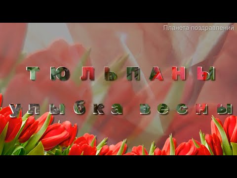 Тюльпаны улыбка весны, муз. В. Шаинский - сл. М. Геттуев