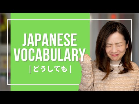 Japanese Vocabulary JLPT (3) 【どうしても(at any cost)】