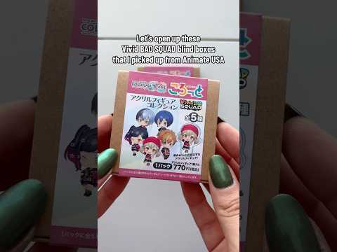 Let’s open up the Vivid BAD SQUAD acrylic stand blind box from Animate USA! #projectsekai