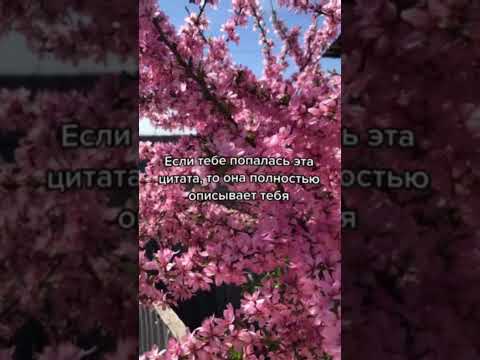 Если тебе попалось это видео, оно полностью тебя описывает