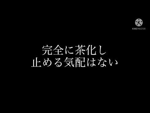 【炎上】上溝さくら公園 いじめ事件 現地の動画【拡散希望】