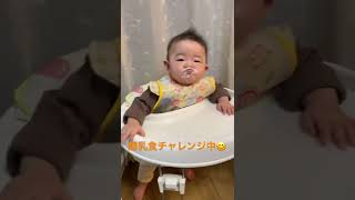 生後6ヶ月赤ちゃん 離乳食チャレンジ