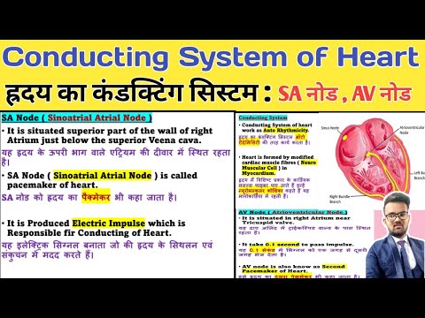 Conducting System of Heart | Conducting System of the heart in hindi |  SA Node | AV Node