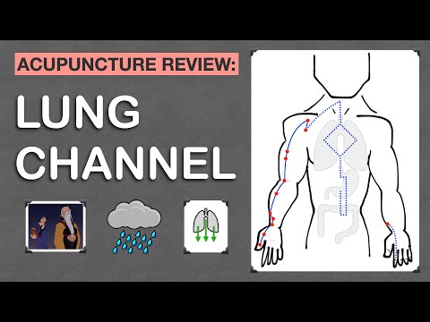 Points Review: Lung Channel Acupuncture Meridian