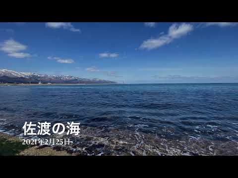 佐渡の海。佐渡、連日は晴れ☀️両津原黒の海岸に行きました。青空と海、美しいですね✨