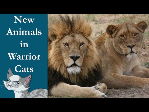 Warrior Cats is adding LIONS?