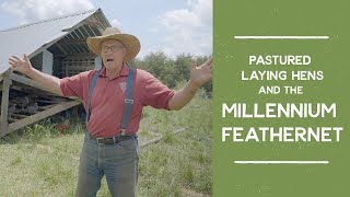 How to Shelter Pastured Egg Laying Hens with the Millennium Feathernet | Joel Salatin