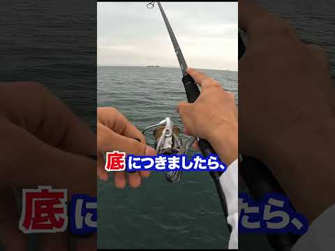 『ショアテンヤ』こんなとこから釣れるの！？堤防からあの高級魚が釣れた‼️#shorts #釣り