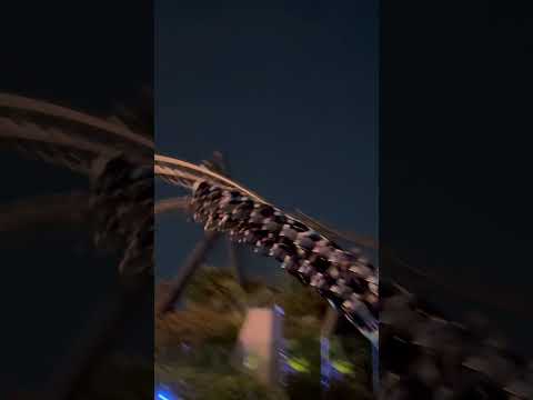 Jurassic World Velocicoaster Night Run Islands of Adventure Universal Studios #Shorts