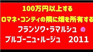 【2020年3月限定】あのロマネ・コンティの隣に畑を所有する　ラマルシュの　ブルゴーニュ・ピノ　2011　先行予約開始します！