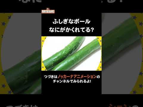 不思議なボールは何の野菜？ #nokkanaanimation #ノッカーナアニメーション #知育アニメ #shorts