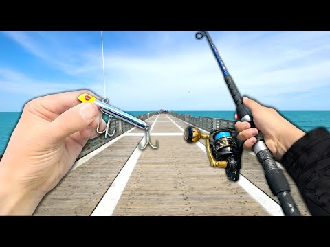 INSANE Pier Fishing!! Eating Whatever I Catch (Catch and Cook)