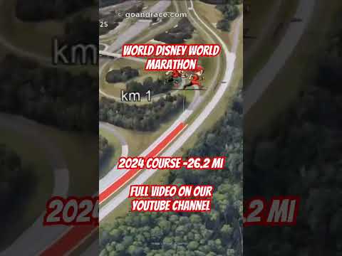 Walt Disney World Marathon Weekend 2025: fly over the marathon course! Video of the race path.