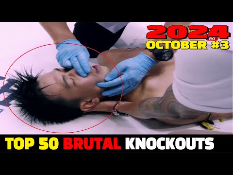 Top 50 Brutal Knockouts October 2024 #3 (MMA•Muay Thai•Kickboxing•Boxing)