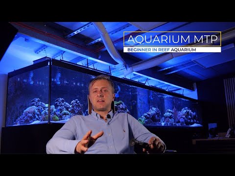 Beginner in reef aquarium hobby - introduction to the channel