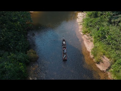 Rolex Perpetual Planet Initiative: “Expedition Amazon – Into the Waters”