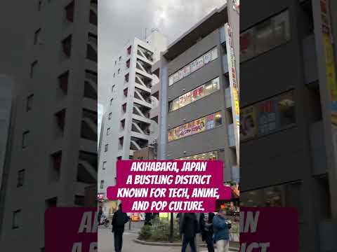 Akihabara Vibes: Tokyo’s Electric Playground