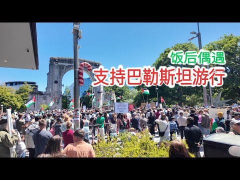 吃完午饭偶遇支持巴勒斯坦游行（新西兰 Harold Vlog 819）