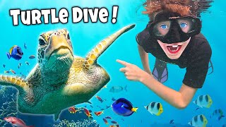 WE SWIM with SEA TURTLES and STINGRAYS!? Kids Puerto Rico adventure