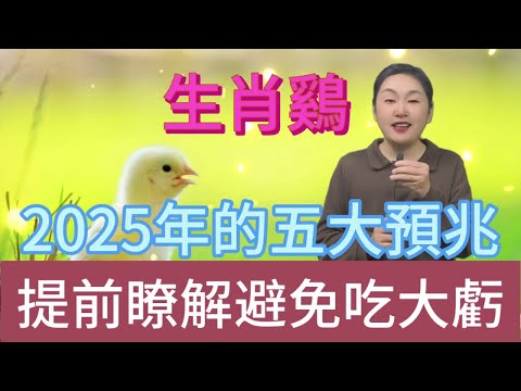 生肖雞注意！2025 年五大预兆揭晓，屬雞人早知道早受益，少吃亏赢未来！#風水 #生肖 #運勢 #佛教 #命理