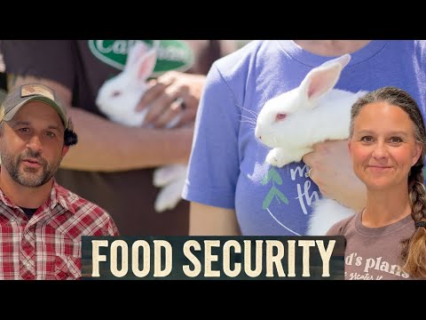 Securing Food during Tough Times. Rabbits check all the boxes.