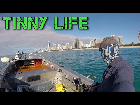 Tinny life is the best life - Tinny Fishing, Diving, catch and cook