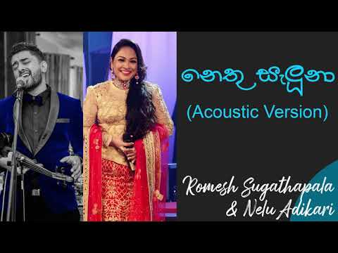 නෙතු සැලුනා | Nethu Saluna Reggae Acoustic Version | Romesh Sugathapala Songs | Nelu Adihkari Songs