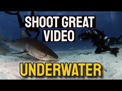 Shoot Great Underwater Video (Tips for wide angle lens and video lights.)