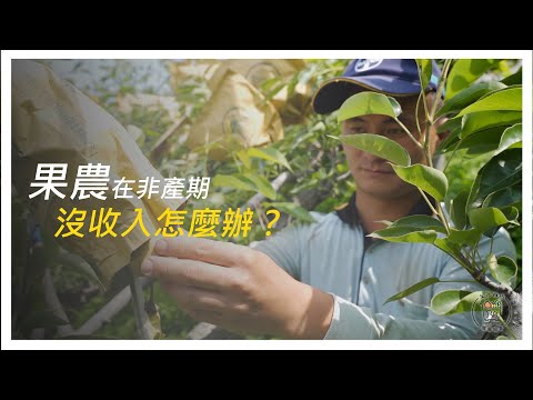 【友善小農】果農一年一收，不是產季沒收入怎麼辦？看甜霖果園的小茹如何與友善商店協會相互幫忙解決大家的問題。