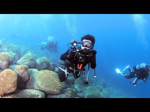 伊豆の海！夏だ！海だ！ダイビングだ！台風直後の井田で楽しく潜ってきましたよぉ！