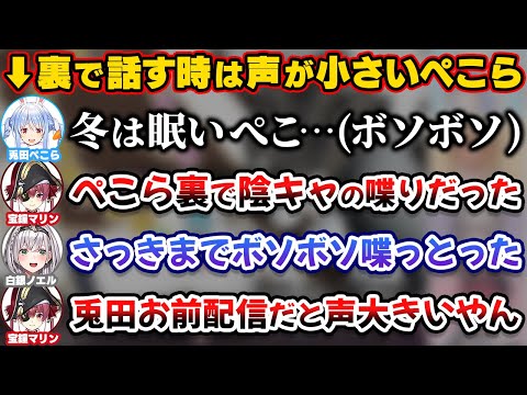 裏ではボソボソと陰キャ喋りだったのに配信では声が大きくなることをバラされるぺこら【ホロライブ切り抜き/宝鐘マリン/兎田ぺこら/白銀ノエル/不知火フレア/3期生】