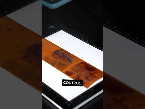 🎞️ Organize Your Film Scans Like a Pro! 🗂️