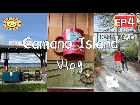 🇺🇸美國華盛頓州Camano Island 【EP4】🚌距离温哥华2小时的神秘小岛｜海边Cama Beach早餐｜森林漫步｜小岛生活第2天