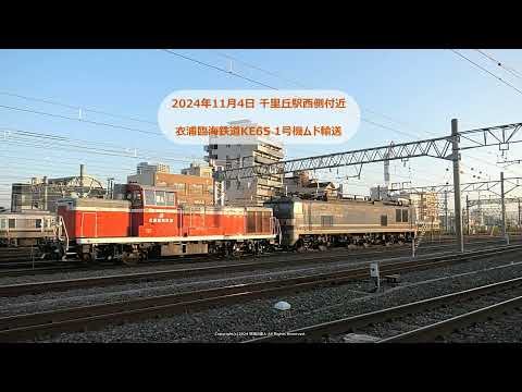 衣浦臨海鉄道KE65 1号機 秋田車両センターからの甲種輸送の撮影です（R6.11.4）